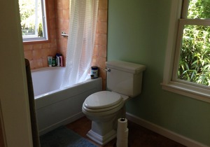 Lovely private Carrboro house–-steps from downtown