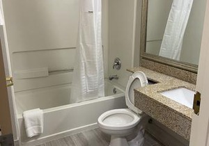 Microtel Inn & Suites by Wyndham Statesville