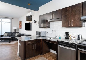 Pet Friendly ADA Studio King Suite | 102