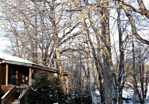 Real Logs-1BR, queen bed & futon-sleeps 4. Riverside w/ Hot Tub