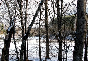 Real Logs-1BR, queen bed & futon-sleeps 4. Riverside w/ Hot Tub