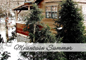Real Logs-1BR, queen bed & futon-sleeps 4. Riverside w/ Hot Tub