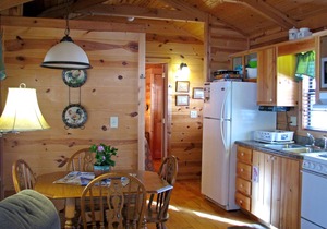 Real Logs-1BR, queen bed & futon-sleeps 4. Riverside w/Hot Tub
