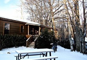 Real Logs-1BR, queen bed & futon-sleeps 4. Riverside w/Hot Tub