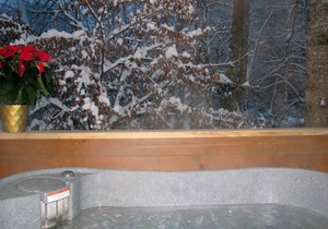 Real Logs-1BR, queen & futon-sleeps 4. Riverside w/ Hot Tub