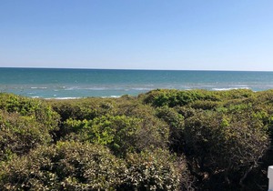 Relax at Tranquil Oceanfront Condo - Ocean Club F103