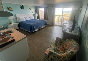Room #205 Mini Efficiency King Bed Pets Yes