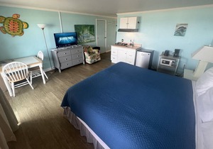 Room #205 Mini Efficiency King Bed Pets Yes
