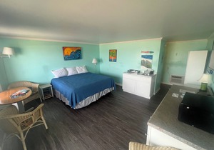 Room #212 Mini Efficiency King Bed Pets Yes