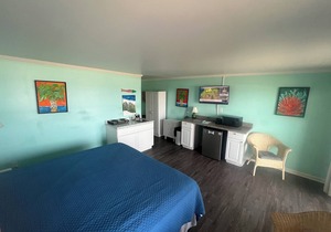 Room #212 Mini Efficiency King Bed Pets Yes