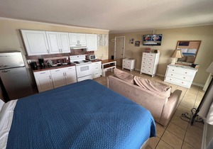 Room #302 Efficiency King w/Kitchen Dog Y