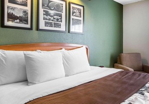 Sleep Inn & Suites Albemarle