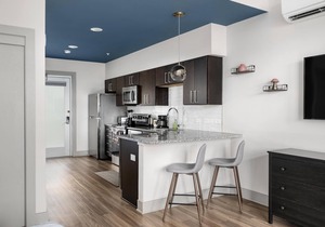 Studio King Suite with Kitchen | 301