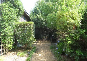 SV24: Cabana III in Ocracoke