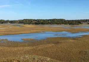 Tailslide Inn - Spectacular Ocean, Waterway and Marsh Views!