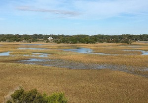 Tailslide Inn - Spectacular Ocean, Waterway and Marsh Views!