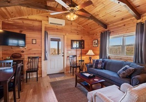 Tiny Cabin 2- Near Tryon Equestrian Center