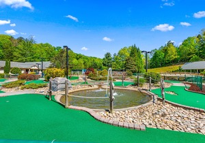 Tranquil home near the lake with two furnished decks, fast WiFi, and fireplace