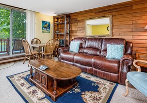 Tri-level townhouse on golf course w/views of pond, close to ice skating/tubing