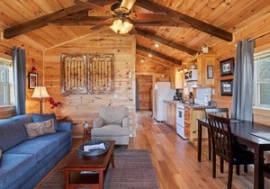 Tryon Tiny Cabin #3 minutes from Equestrian Center