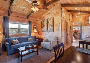 Tryon Tiny Cabin #3 minutes from Equestrian Center