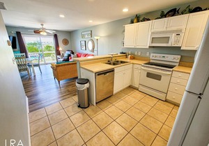 Turtle Cove 223 - C-Notes