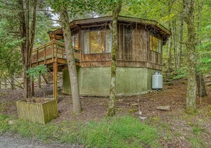 Unique, Dog-Friendly Home in the Woods w/ a Deck & Forest View - Near Skiing