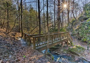 Updated Asheville Area Home on 18-Acre Farm!