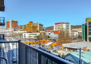 Views, Downtown Asheville, Luxury Condo!