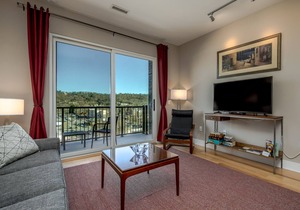 Views, Downtown Asheville, Luxury Condo!
