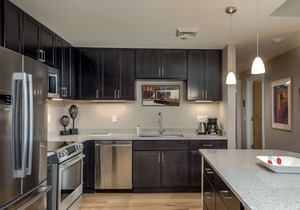 Views, Downtown Asheville, Luxury Condo!