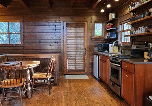 Woodpecker’s Hollow | Cabin w/Fireplace + Views + Biltmore Pass