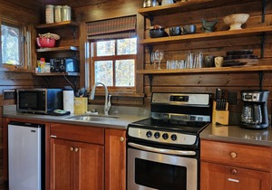 Woodpecker’s Hollow | Cabin w/Fireplace + Views + Biltmore Pass
