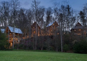 Wren’s Den | Cozy Cabin w/Fireplace + Jetted Tub + Biltmore Pass