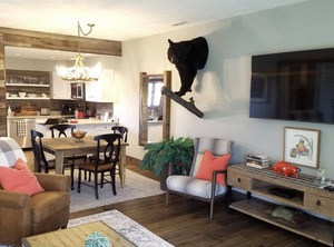 Timbers Resort | Blowing Rock