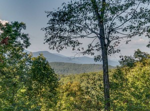 Haven Located Saluda Tryon Min Tiec | Saluda