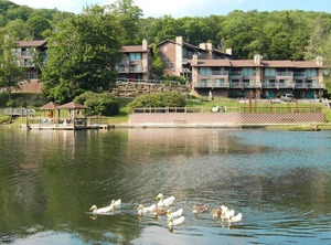 Timbers Resort | Tynecastle