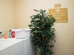 Candlewood Suites Jacksonville Ihg Hotel | Jacksonville