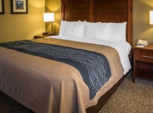Comfort Inn Elizabeth City University | Elizabeth City