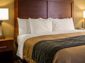 Comfort Inn Elizabeth City University | Elizabeth City