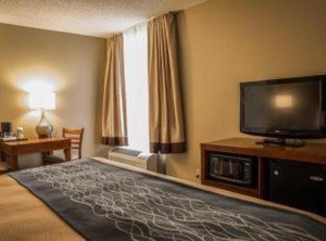 Comfort Inn Elizabeth City University | Elizabeth City