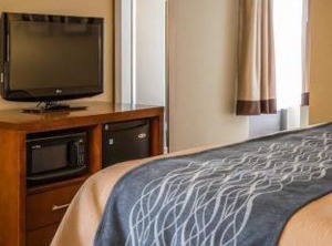 Comfort Inn Elizabeth City University | Elizabeth City
