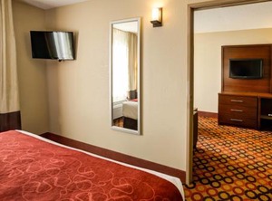 Comfort Suites Airport Charlotte | Paw Creek