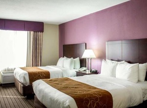 Comfort Suites Sanford | Sanford