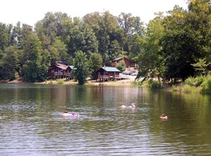 Forest Camping Resort Lakefront | Advance