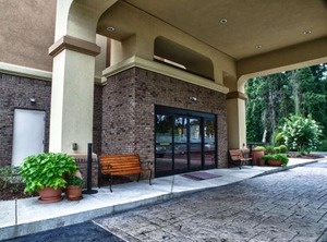 Hampton Inn Spring | Pine Forest