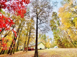 Ranch Retreat Acre Land | Chapel Hill