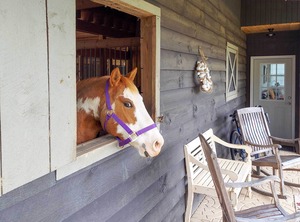 Rustic Farm Stay Hendersonville | Hendersonville