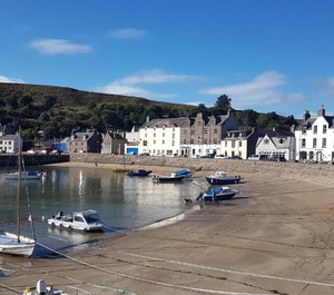 Harbour 