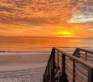 Surf City 